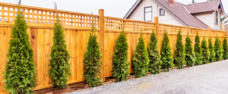Fence company in Los Angeles - Publіkatsіia-v-blozі-globusgatescom-23052024-08 59 35-75088 Fence company in Los Angeles - Publіkatsіia-v-blozі-globusgatescom-23052024-08 59 35-75088