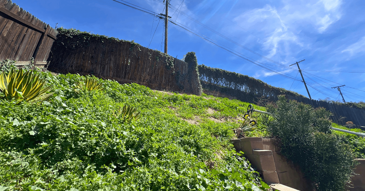 Fence company in Los Angeles - 39